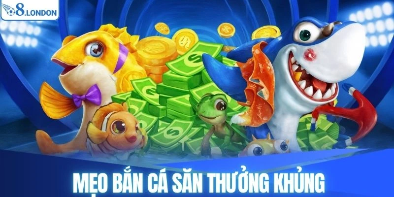 Áp dụng bí kíp săn cá xèng hiệu quả