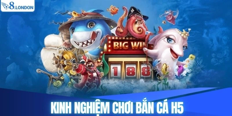 Áp dụng kỹ năng săn cá phù hợp để chiến thắng