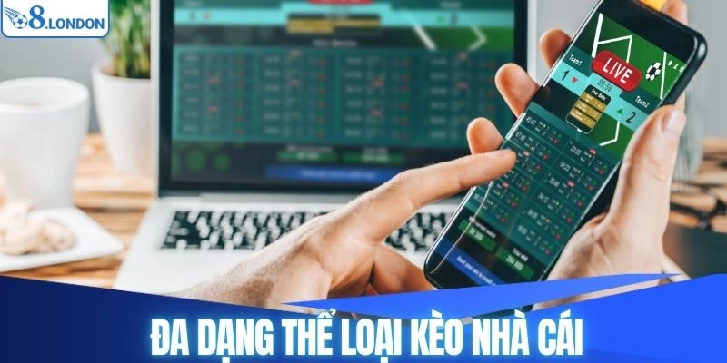 Đa dạng sự lựa chọn về hình thức cược kèo nhà cái