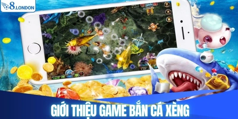 Giới thiệu thông tin cơ bản về bắn cá xèng