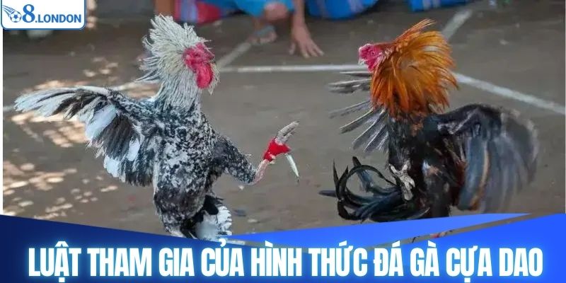 Luật tham gia của hình thức đá gà cựa dao
