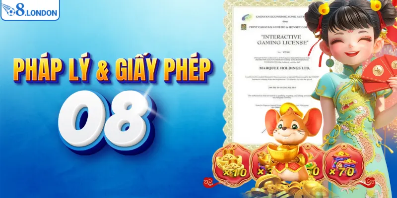 Pháp lý & giấy phép hoạt động của O8
