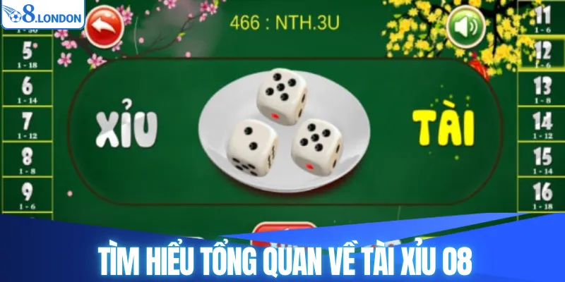 Tìm hiểu tổng quan về tài xỉu O8