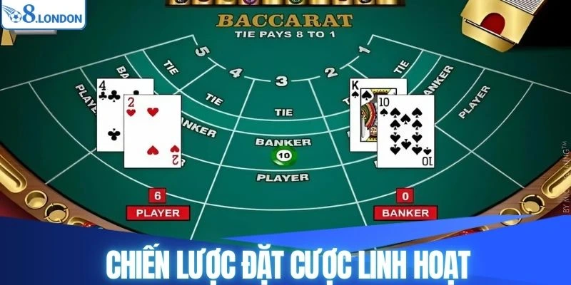 Vận dụng chiến lược đặt cược linh hoạt